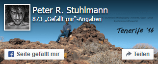 Facebook-Widget-2-Klick-Lösung